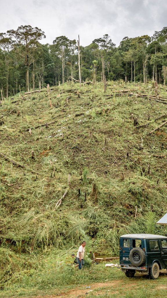 A photo of slash and burn landscapes in the Marancar area of Tapanuli Selatan, North Sumatra, Indonesia.