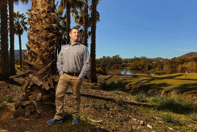 Photo of Daniel Fredholm posing for the camera. stands and poses ext to a large palm tree in a large, green wildlife park. Fredholm wears a grey collared shirt and khaki pants as he stands and poses with hands in pockets.