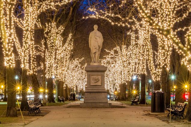 Photo: Commonwealth Avenue Mall in Boston with lit up trees and a statue in the middle of them