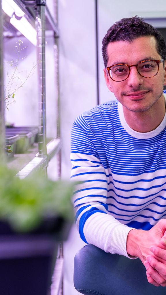 Photo: A man wearing glasses and a blue-and-white striped sweater is standing in a laboratory or greenhouse setting, leaning slightly forward and smiling. Behind him are shelves with plants growing under artificial lights, suggesting a controlled environment for scientific research or cultivation. The atmosphere is well-lit with a focus on plant growth, and the man appears to be involved in plant science or biology-related work.