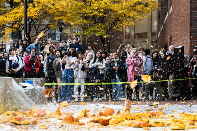 Photo: A scene of a crowd watching pumpkins smash to the ground