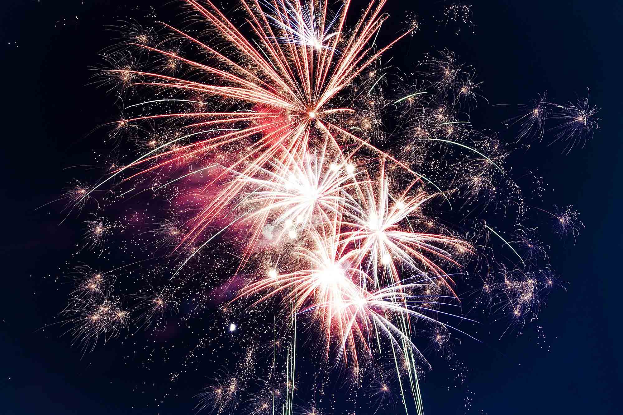 Photo: A stock image of fireworks, sparkly and pink in a navy dark sky.