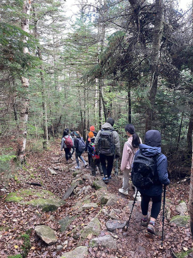 Hikers on a trail in the woods