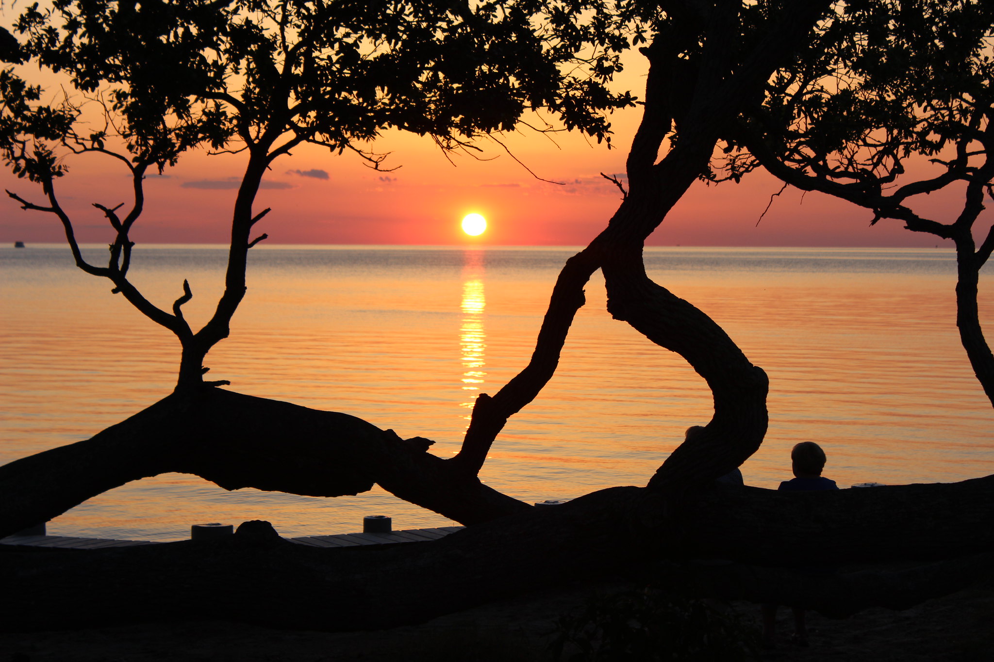 Building climate and coastal resilience in the OBX