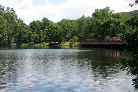 Green or gray infrastructure? Preserving water quality in Portland, Maine