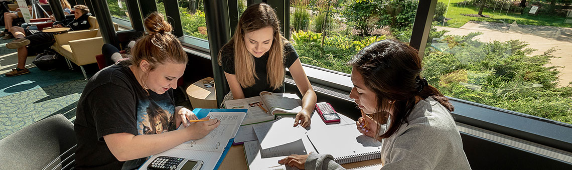 students studying in stundent lounge