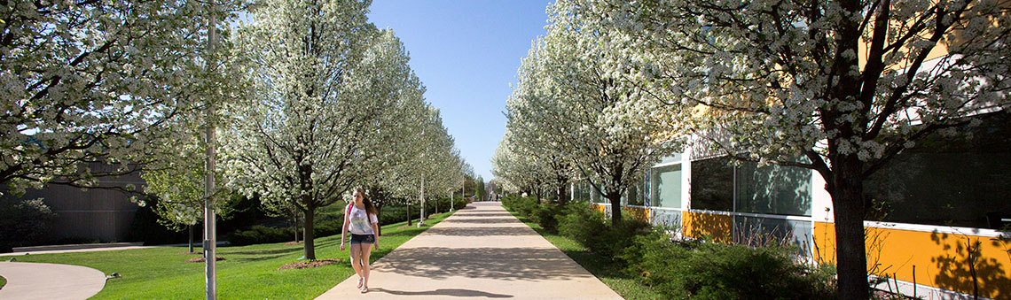 Student walking outside of campus on a nice day