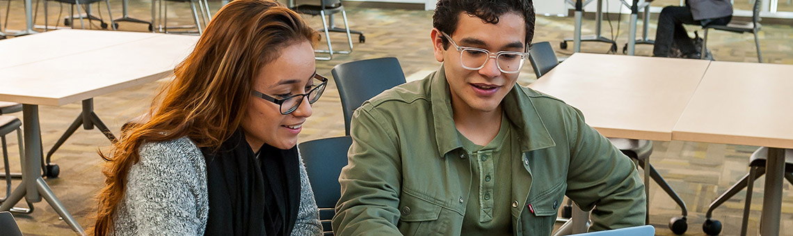 two students studying together