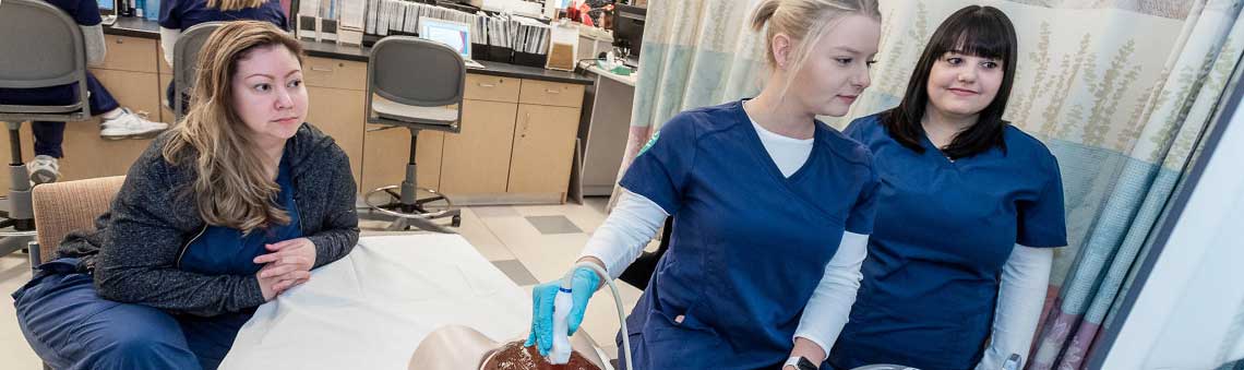 students practicing sonography techniques on a mannequin