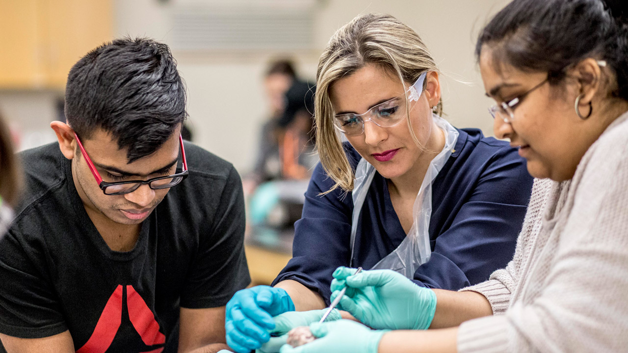 Students dissecting a project during class 