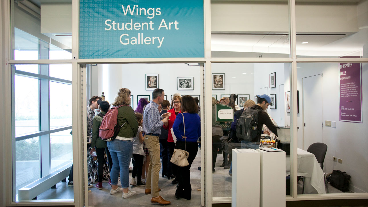 Wings Gallery