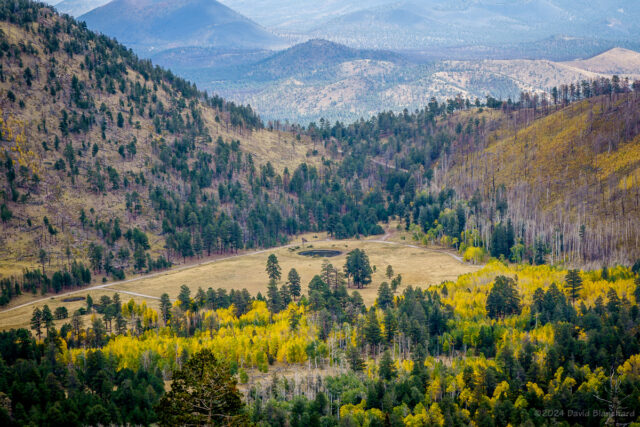 One of the few gaps in trees along the road allows a view down into Lockett Meadow. The hill on the far right was burned by the Pipeline Fire but is beginning to recover.