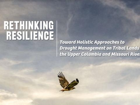 Rethinking Resilience: Toward Holistic Approaches to Drought Management on Tribal Lands in the Upper Columbia and Missouri River Basins.