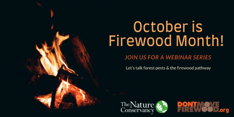 Dont Move Firewood's Webinar Image