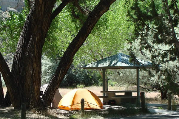 Yellow tent in campsite with shady trees