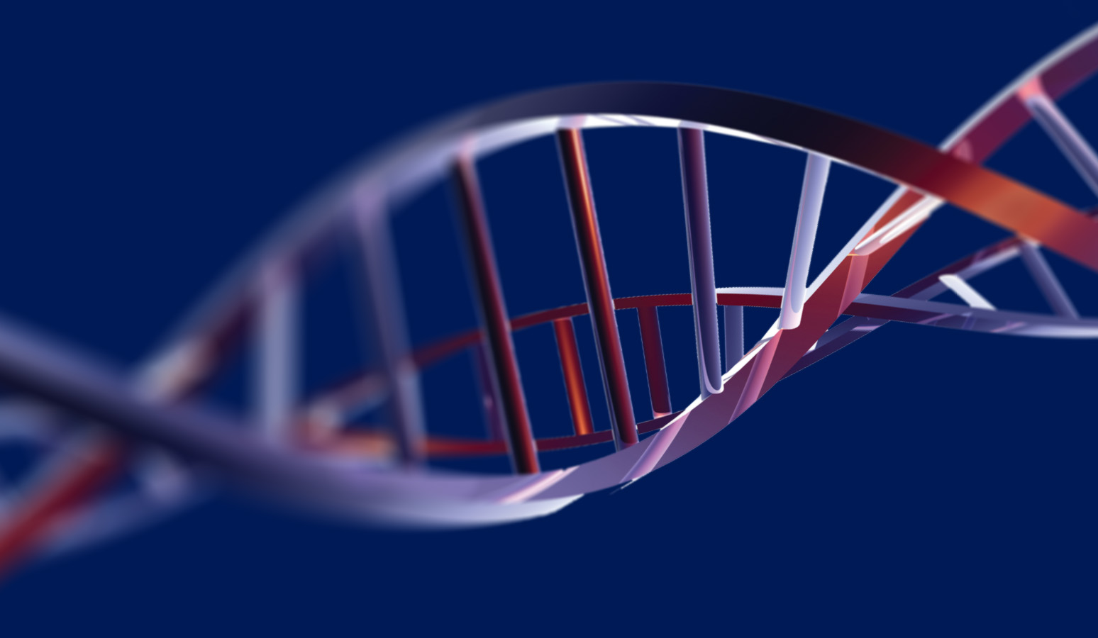 DNA from glossary