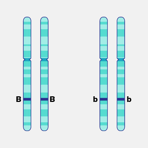 homozygous_dyn