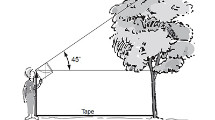 Trees Around the GLOBE Student Research Campaign