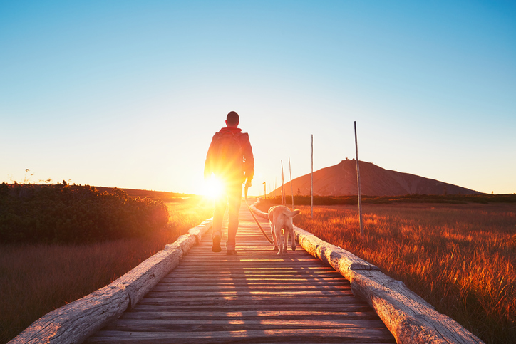 Man walks dog on path at sunset