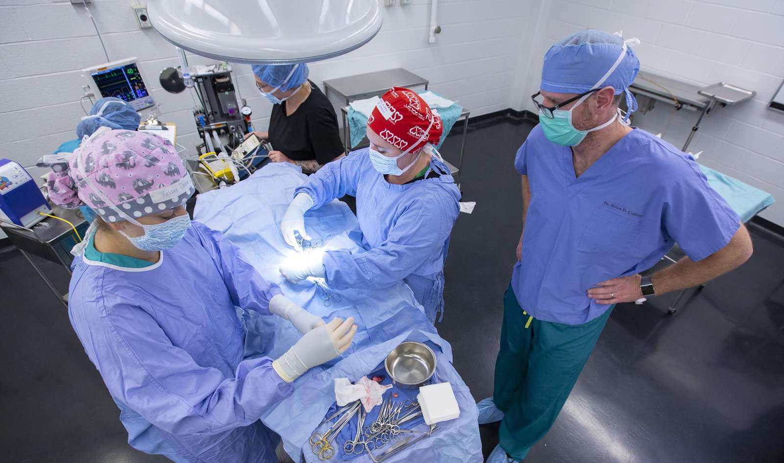 Close up of vet med students performing surgery in the operating room