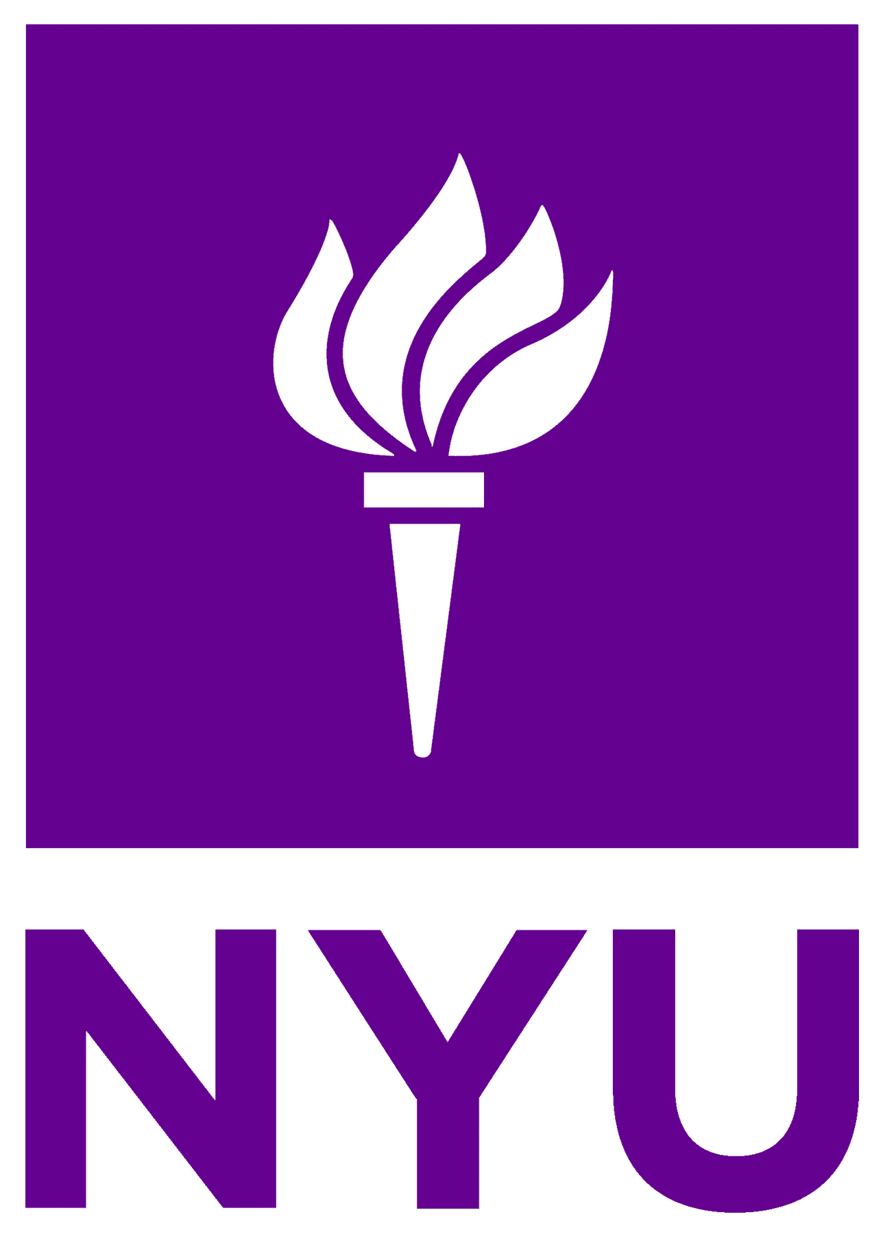 NYU Steinhardt