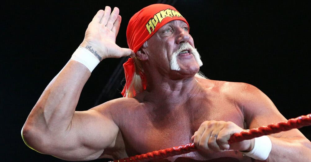 hulk hogan biopic