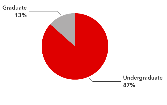 Graphic comparing the percentage of undergraduate students (87%) to graduate students (13%) in Fall 2024