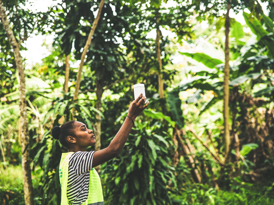 A woman standing in front of trees holds up mosquitos to release them into the community.