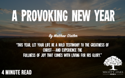 Have A Provoking New Year