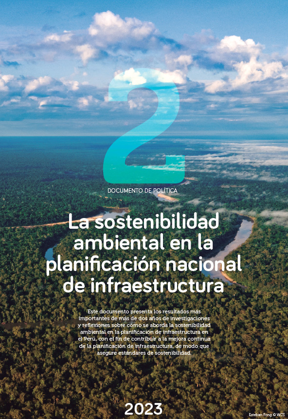 Aerial view of Peruvian forest and sky.