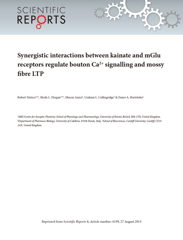 リプリント表紙：Scientific Reports