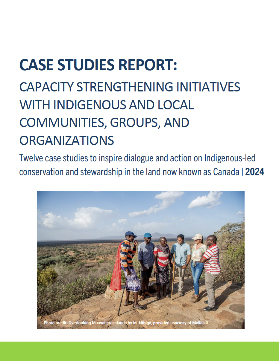 This case studies report complements the report "What Works in Capacity Strengthening Initiatives".