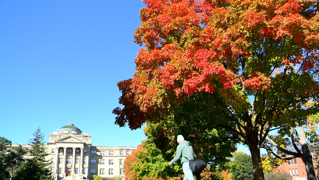 Poscard from Campus: Beautiful Fall