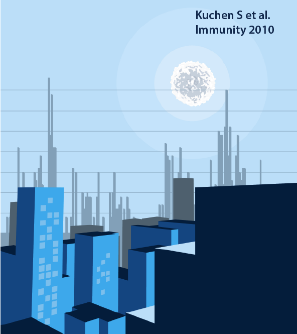 Kuchen S et al. Immunity 2010