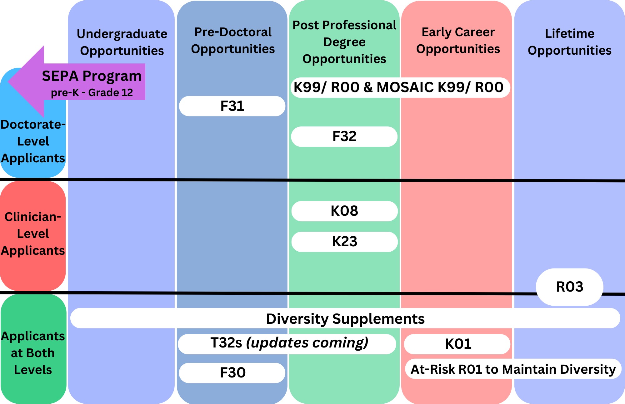 Doctorate-level applicants: F31 (pre-doctoral); F32 (post-professional degree); K99/R00 & MOSAIC (post-professional and early career). Clinician applicants: K08 and K23 (post-professional degree). Both doctorate and clinician levels: F30 (pre-doctoral); T32 (Pre-doctoral and post-professional); K01 (early career); At-Risk R01 to Maintain Diversity (early career and Lifetime). All levels can apply for Diversity Supplements. R03: Lifetime and Clinician level. NIH SEPA is for pre-K to Grade 12.