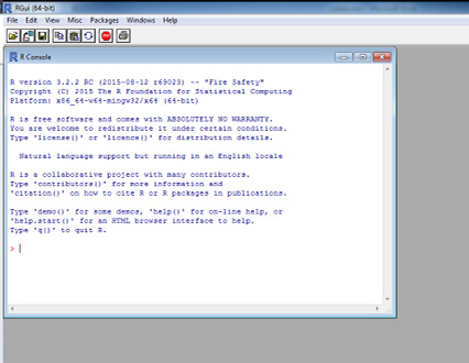 Figure 1. R console on startup