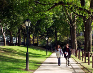 teens walking in a park 