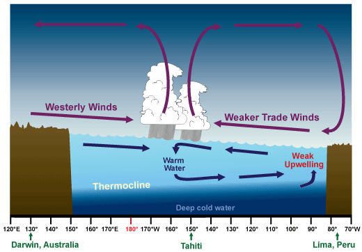 Tropical weather pattern across the equator during El Niño.