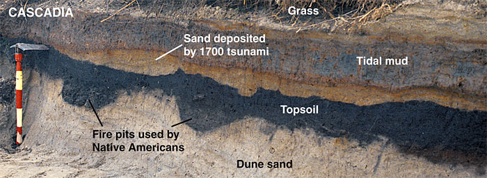 Evidence of Other Great Earthquakes and Tsunamis