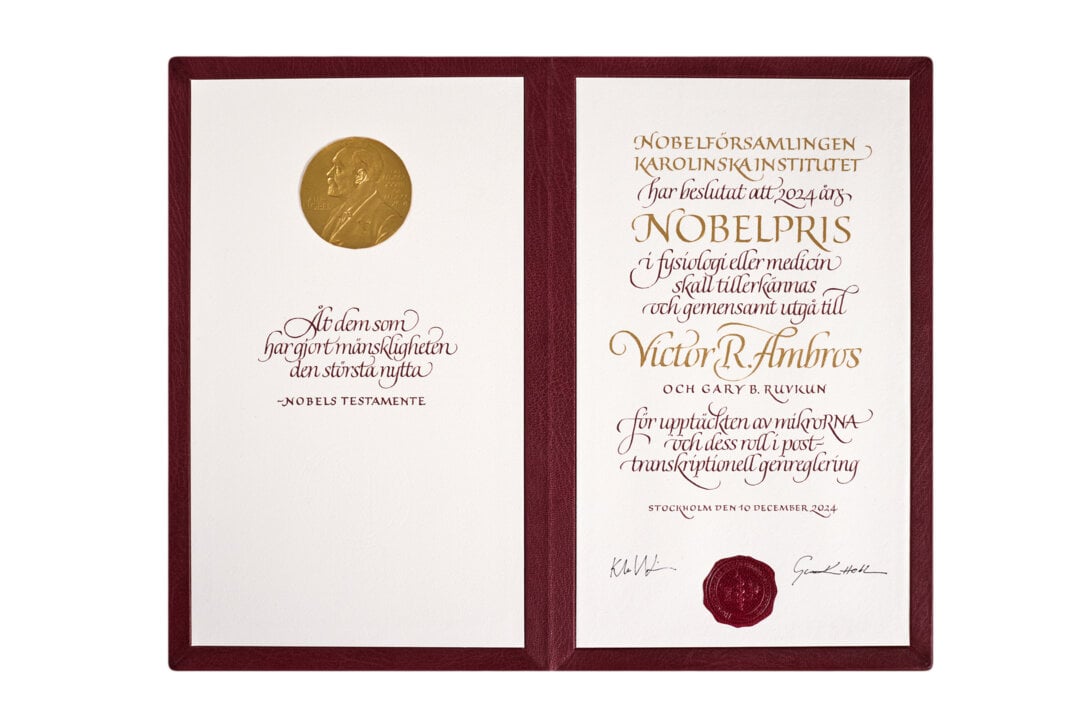 Diploma Victor Ambros 2024 (1)