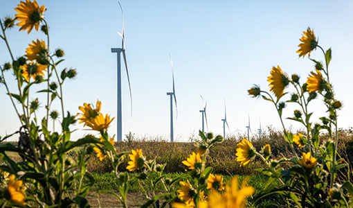 What Does the Horizon of Wind Energy Look Like?