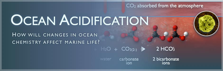 Ocean Acidification