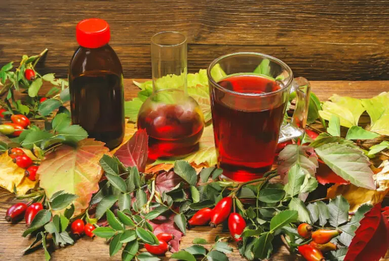 Rosehip Tincture – Easy Homemade Recipe & Usage