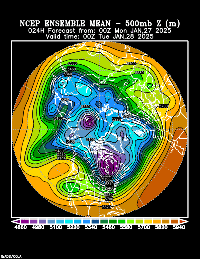 NCEP Ensemble t = 024 hour forecast product