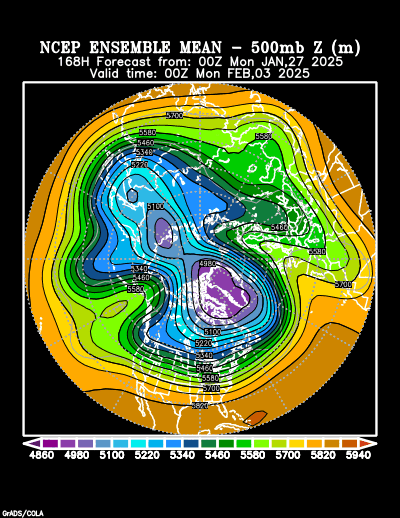 NCEP Ensemble t = 168 hour forecast product