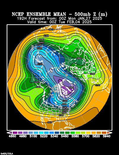 NCEP Ensemble t = 192 hour forecast product