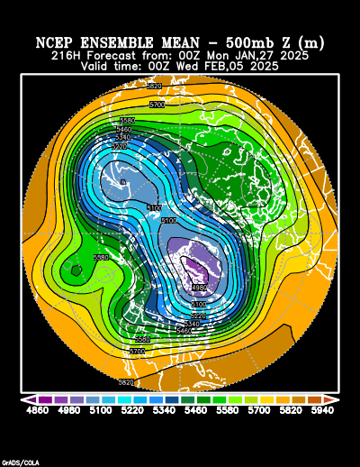 NCEP Ensemble t = 216 hour forecast product