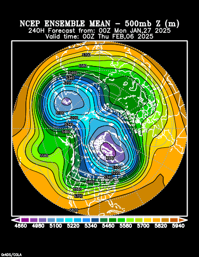 NCEP Ensemble t = 240 hour forecast product