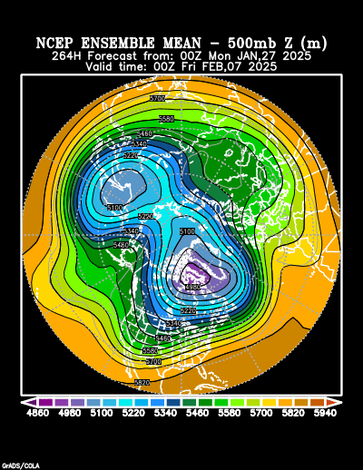 NCEP Ensemble t = 264 hour forecast product