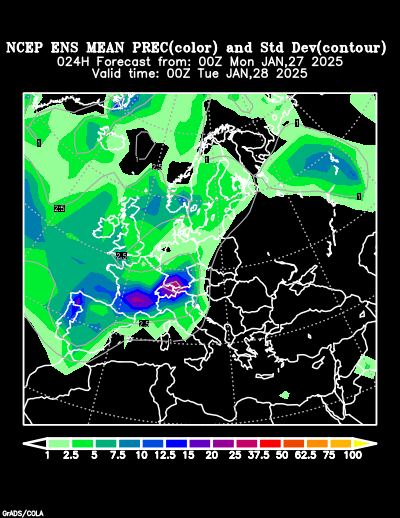 NCEP Ensemble t = 024 hour forecast product